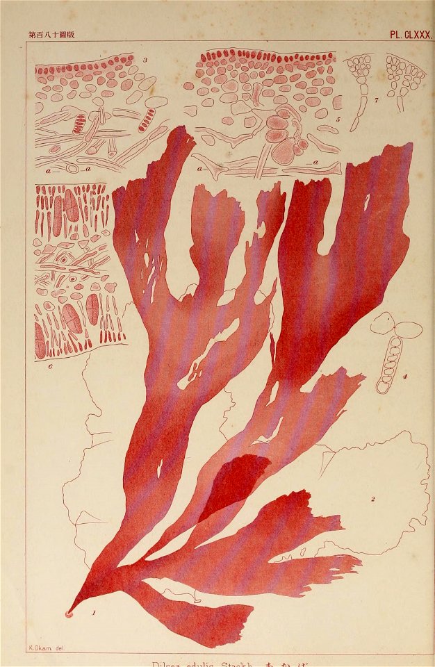 n187_w1150