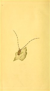 n167_w1150