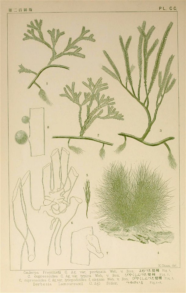 n305_w1150
