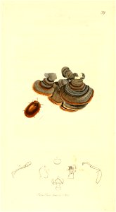 n163_w1150