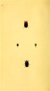 n123_w1150
