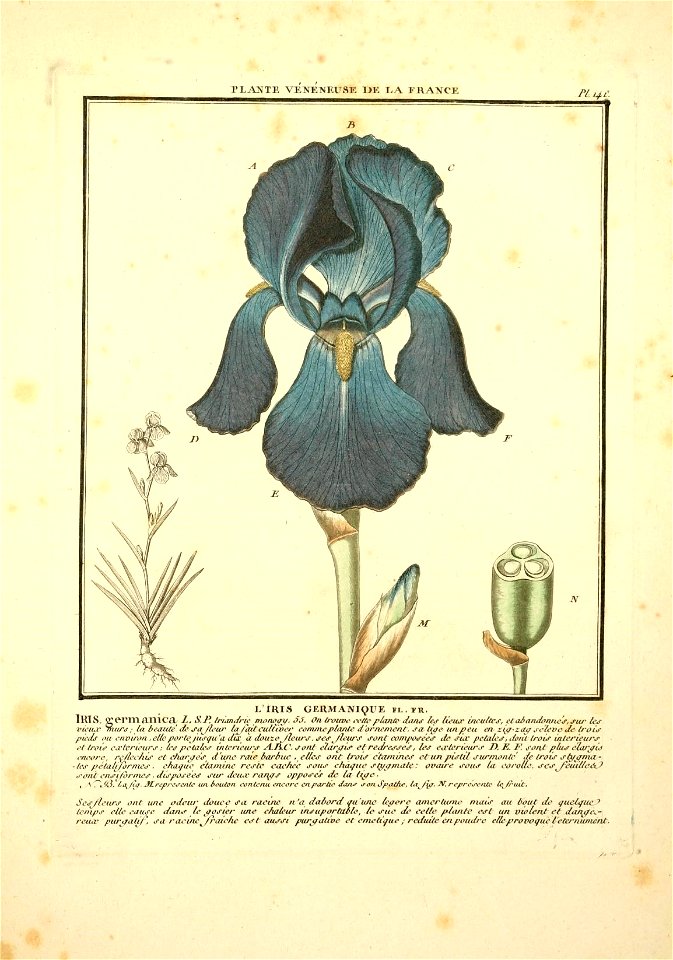 n94_w1150
