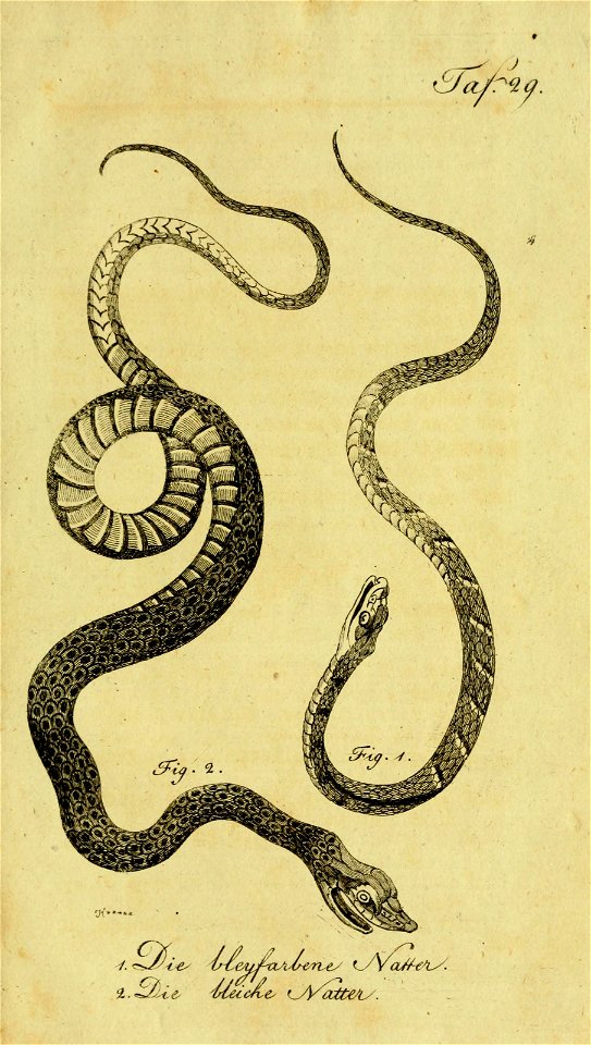 n532_w1150