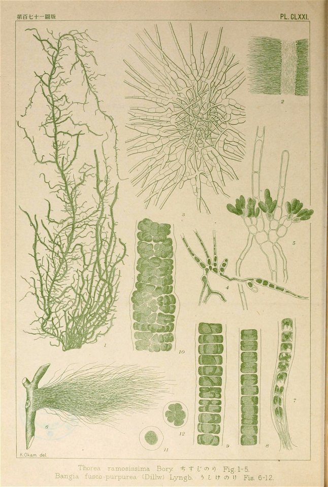 n139_w1150