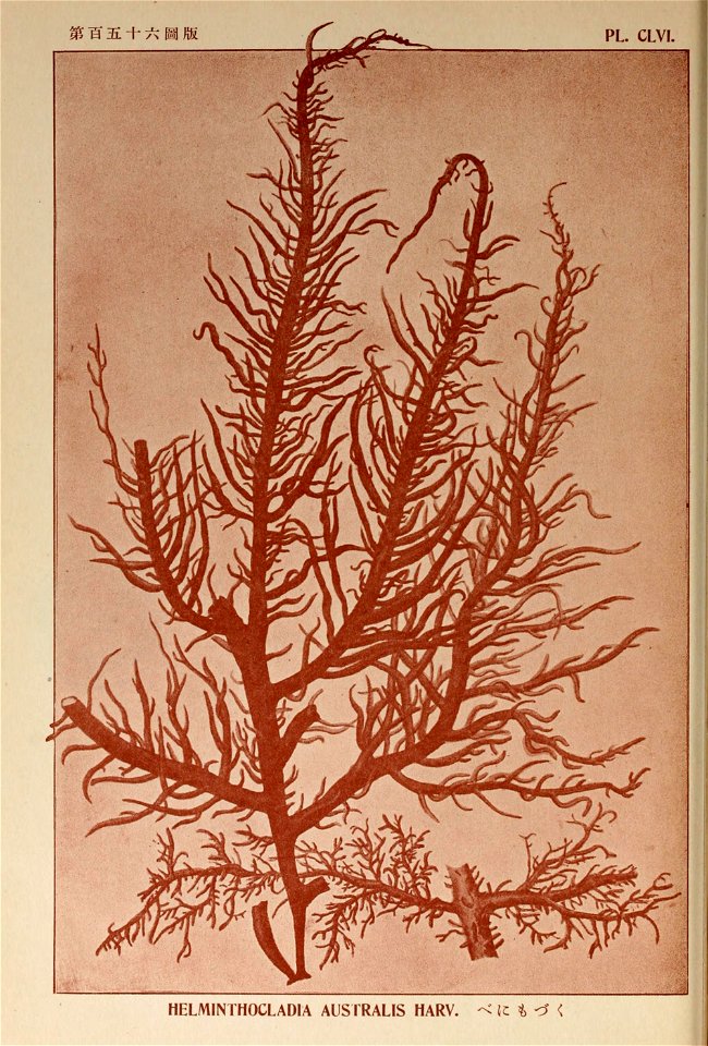n45_w1150