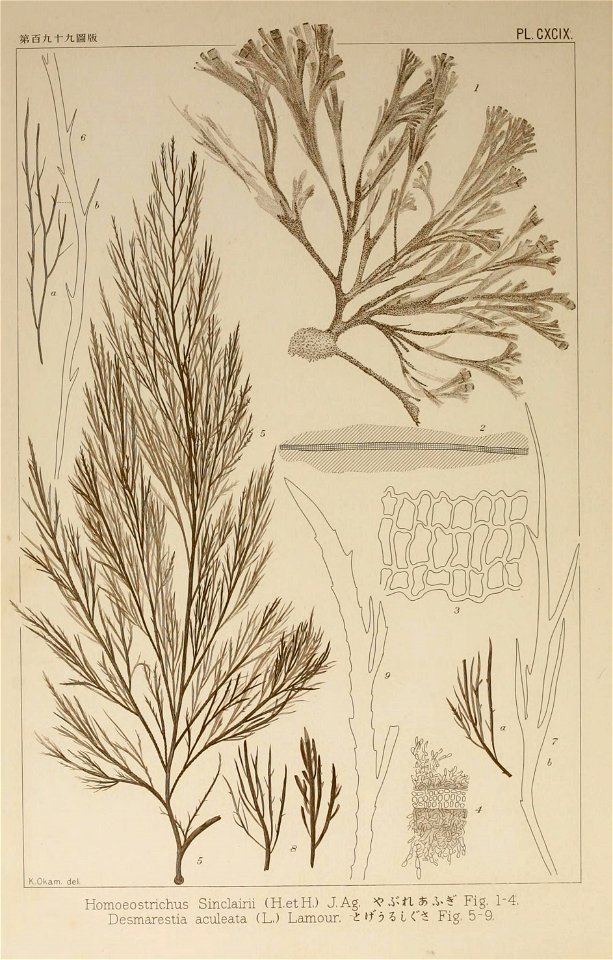 n301_w1150