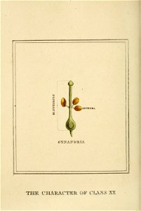 n205_w1150
