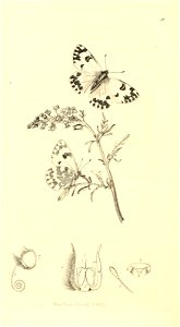 n195_w1150