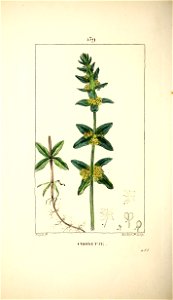 n161_w1150