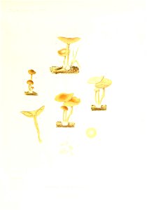 n276_w1150