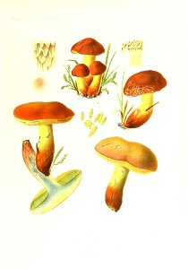n306_w1150