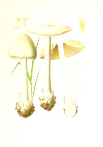 n186_w1150