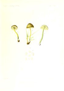 n216_w1150