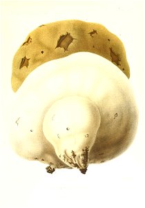 n394_w1150