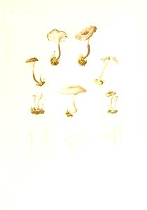 n364_w1150