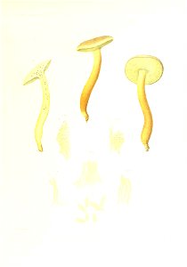 n304_w1150