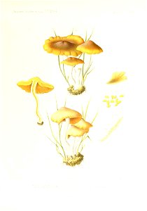 n274_w1150