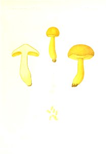 n302_w1150