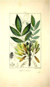 n359_w1150
