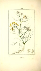 n175_w1150
