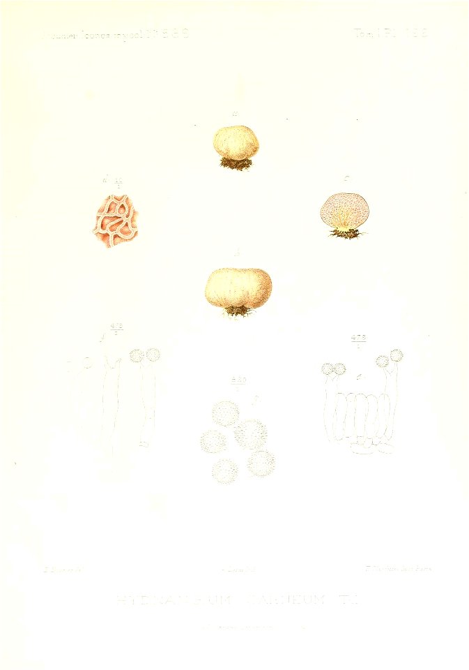 n402_w1150