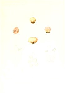 n402_w1150