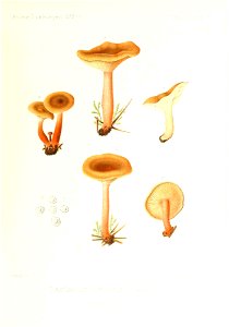 n126_w1150