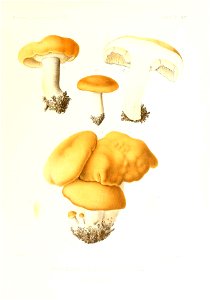n66_w1150