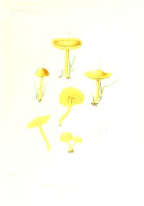 n94_w1150