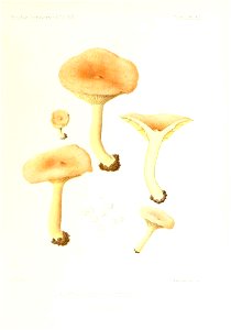 n122_w1150