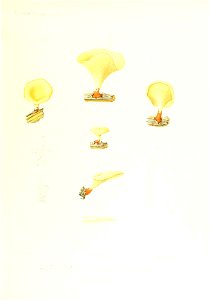 n180_w1150
