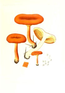 n120_w1150