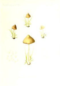 n208_w1150