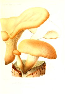 n178_w1150
