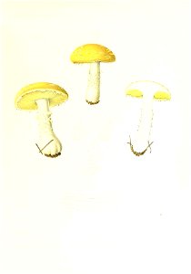 n58_w1150