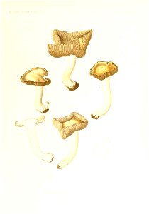 n88_w1150