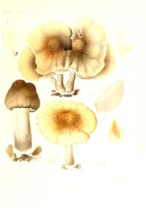 n194_w1150