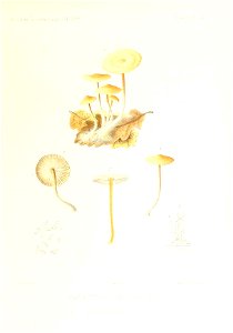 n164_w1150