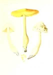 n224_w1150