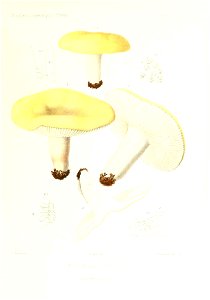 n104_w1150