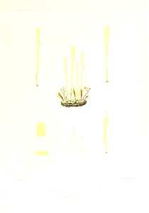 n372_w1150