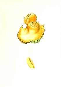 n342_w1150