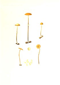 n222_w1150