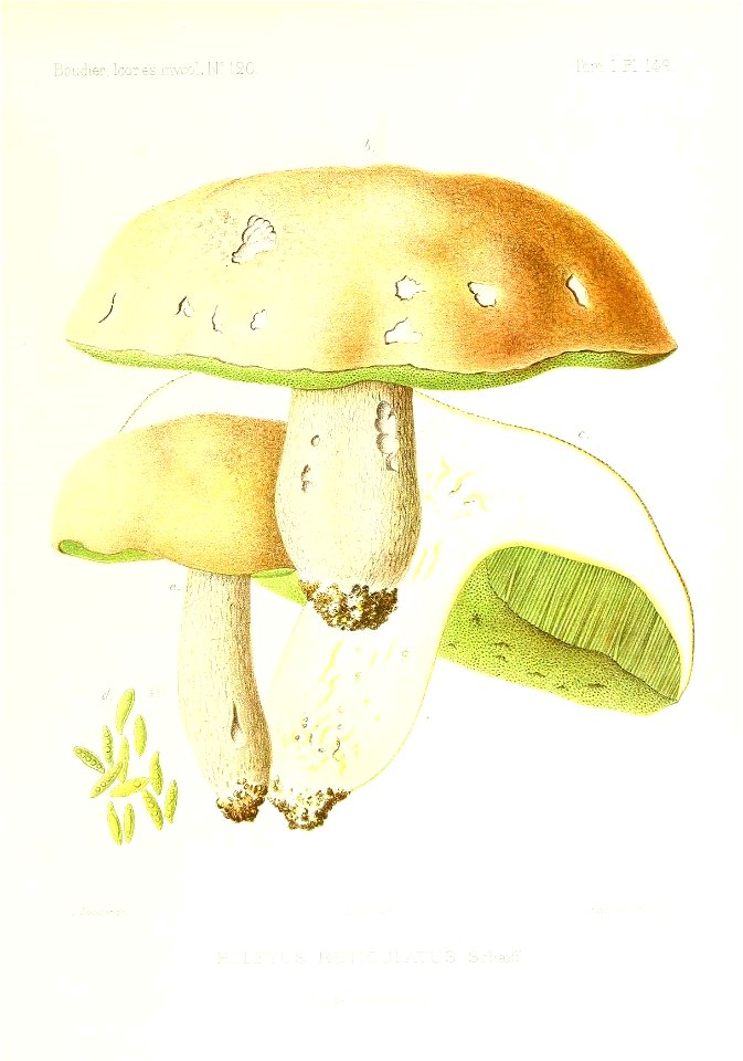 n312_w1150