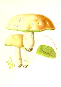 n312_w1150