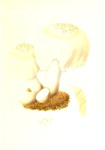 n192_w1150