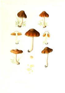 n252_w1150