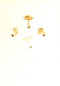 n132_w1150