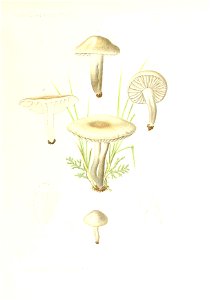 n102_w1150