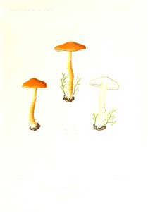 n42_w1150